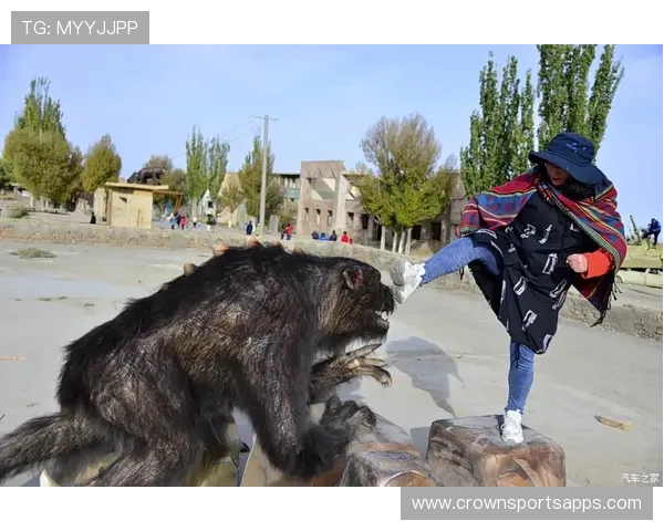 奥利塞真实水平与技术短板解析：是否被高估的关键所在