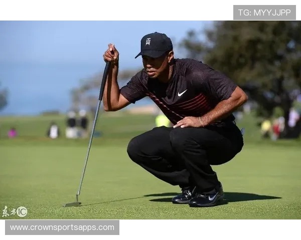 泰格·伍兹的私人飞机上连咖啡机都是镶金的？